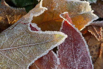 BUITEN BEELD Foto: 109174