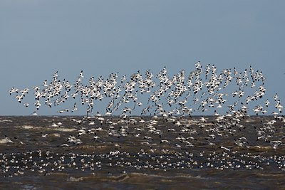 BUITEN BEELD Foto: 109182