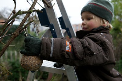 BUITEN BEELD Foto: 109303