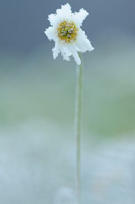 BUITEN BEELD Foto: 109305