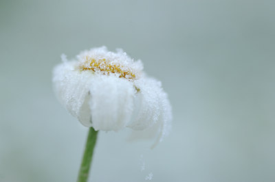 BUITEN BEELD Foto: 109307
