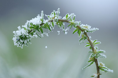 BUITEN BEELD Foto: 109308