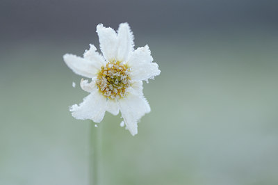 BUITEN BEELD Foto: 109312