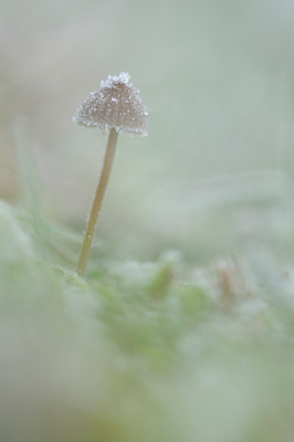 BUITEN BEELD Foto: 109314