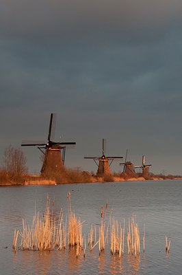 BUITEN BEELD Foto: 109347