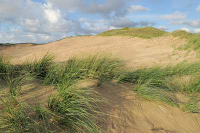 BUITEN BEELD Foto: 109370