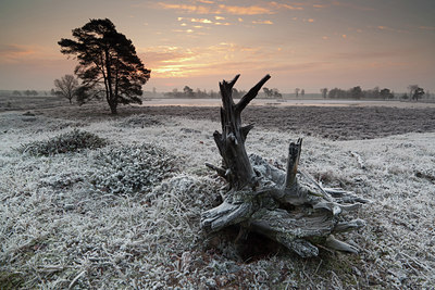 BUITEN BEELD Foto: 109476
