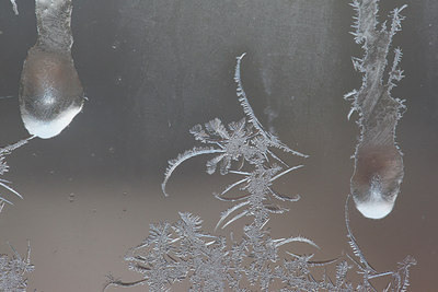 BUITEN BEELD Foto: 109502