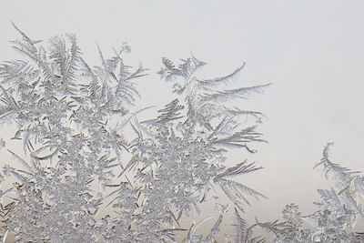 BUITEN BEELD Foto: 109504