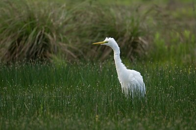 BUITEN BEELD Foto: 109522