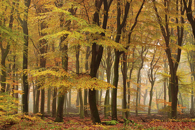 BUITEN BEELD Foto: 109598