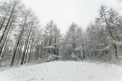 BUITEN BEELD Foto: 109641