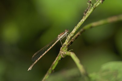 BUITEN BEELD Foto: 109699