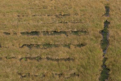 BUITEN BEELD Foto: 109734