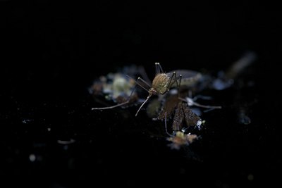 BUITEN BEELD Foto: 109741