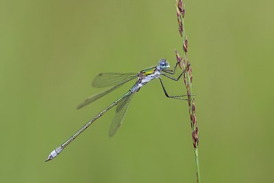 BUITEN BEELD Foto: 109742
