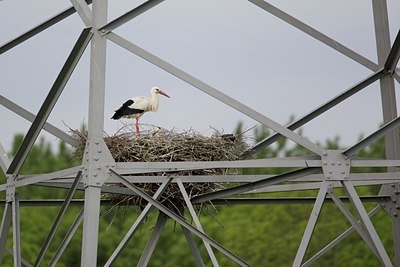 BUITEN BEELD Foto: 109743