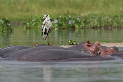 BUITEN BEELD Foto: 109744