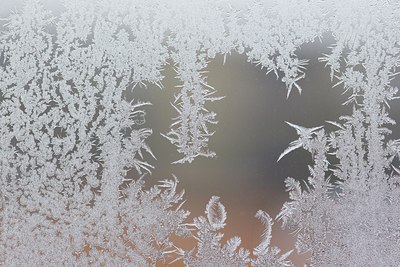 BUITEN BEELD Foto: 109752