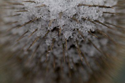 BUITEN BEELD Foto: 109806