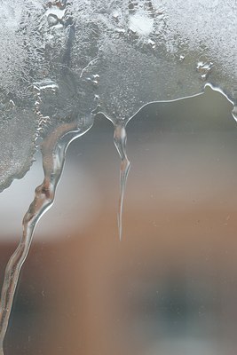 BUITEN BEELD Foto: 109827