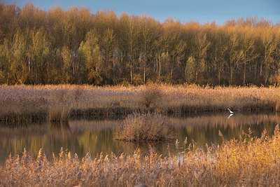 BUITEN BEELD Foto: 109850