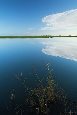 BUITEN BEELD Foto: 109854