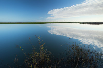 BUITEN BEELD Foto: 109855