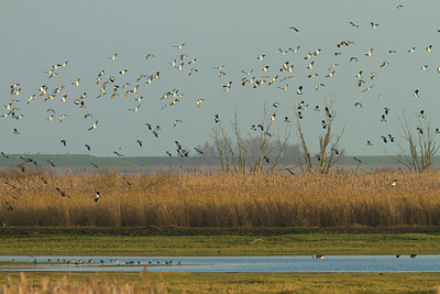 BUITEN BEELD Foto: 109861