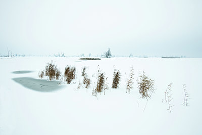 BUITEN BEELD Foto: 109935