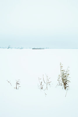 BUITEN BEELD Foto: 109936