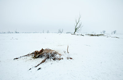 BUITEN BEELD Foto: 109937