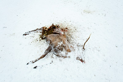 BUITEN BEELD Foto: 109940