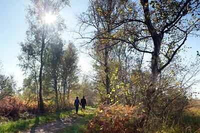 BUITEN BEELD Foto: 109972