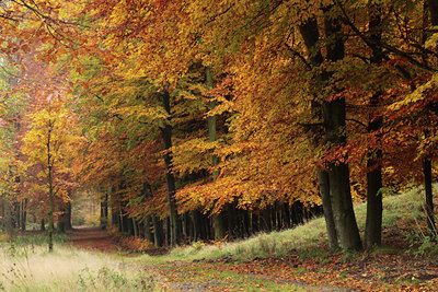 BUITEN BEELD Foto: 109989