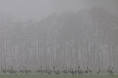 BUITEN BEELD Foto: 109995
