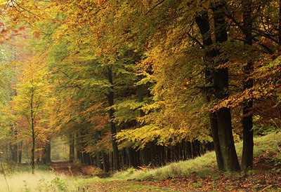 BUITEN BEELD Foto: 110006