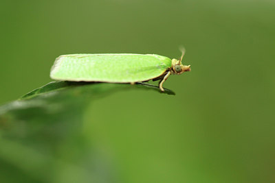 BUITEN BEELD Foto: 110013
