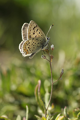 BUITEN BEELD Foto: 110016