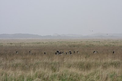BUITEN BEELD Foto: 110143