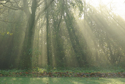 BUITEN BEELD Foto: 110154