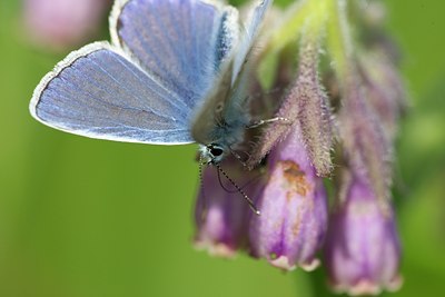 BUITEN BEELD Foto: 110158