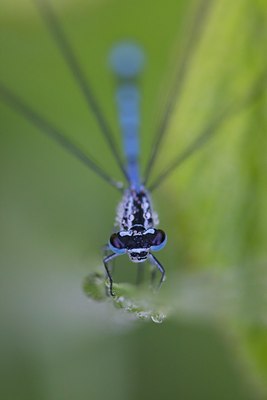 BUITEN BEELD Foto: 110173