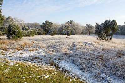 BUITEN BEELD Foto: 110176