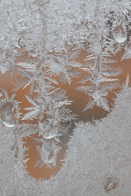 BUITEN BEELD Foto: 110198