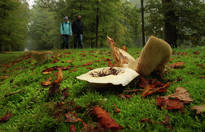 BUITEN BEELD Foto: 110226