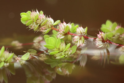 BUITEN BEELD Foto: 110236