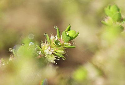 BUITEN BEELD Foto: 110237