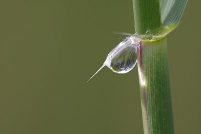BUITEN BEELD Foto: 110252