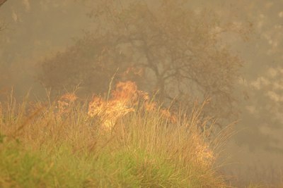BUITEN BEELD Foto: 110413